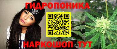СК Рыбинск