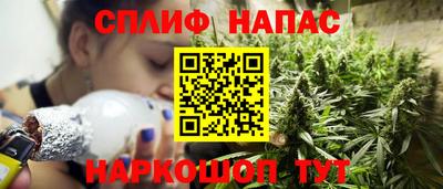 СК Рыбинск