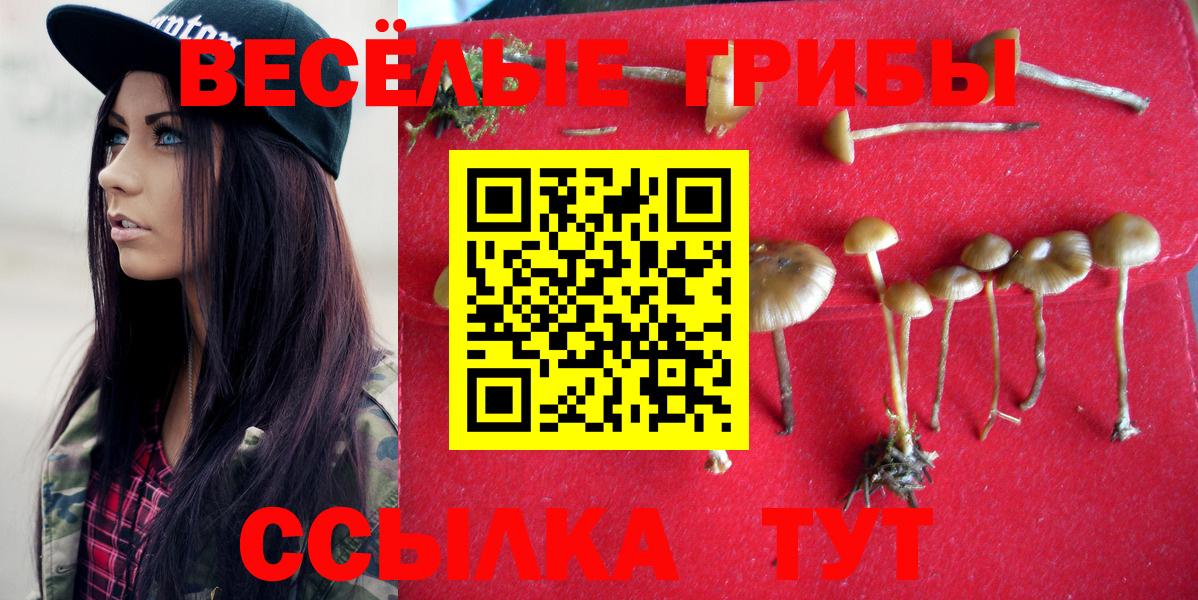 Псилоцибиновые грибы ЛСД Саратов