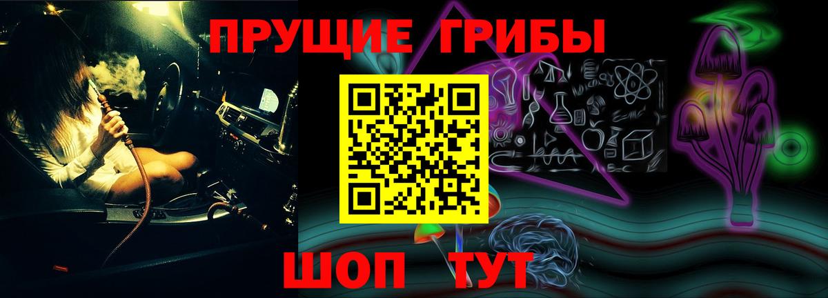 Саратов  Псилоцибиновые грибы Psilocybine cubensis  Вход с VPN 